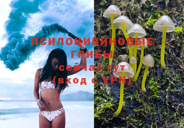 крисы Алзамай